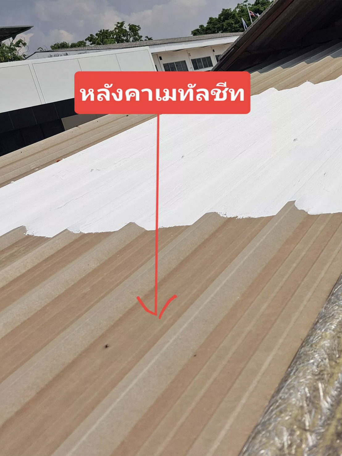 ระบบเคลือบพื้นดาดฟ้า