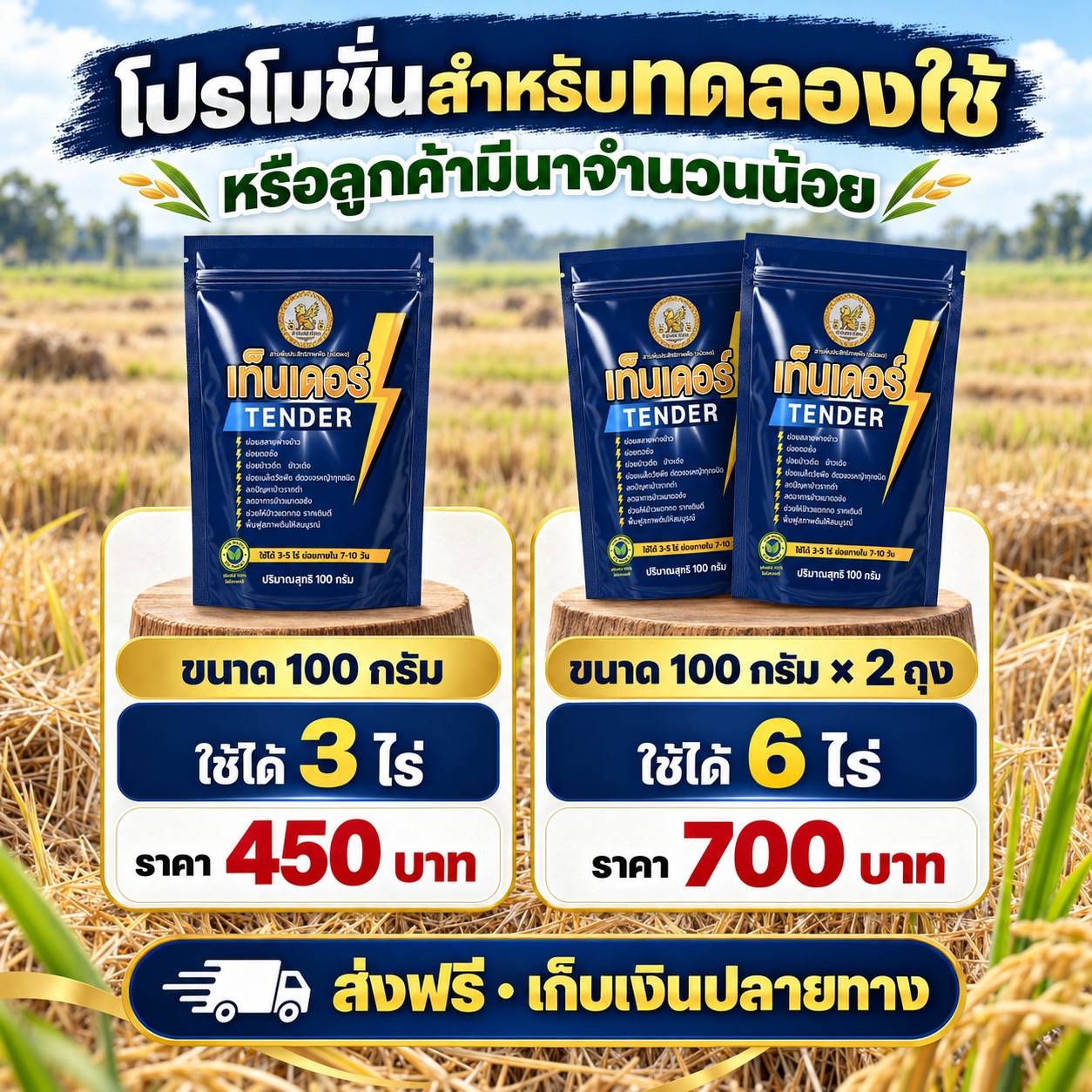 ภาพสินค้าเท็นเดอร์แบบแยกสินค้า