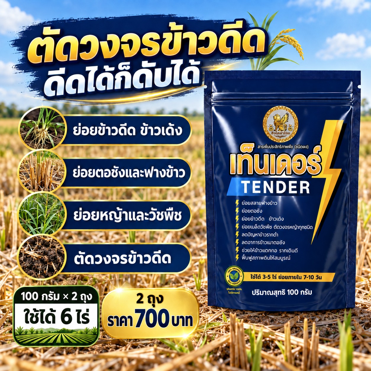 ภาพสินค้าเท็นเดอร์อีกมุมหนึ่ง
